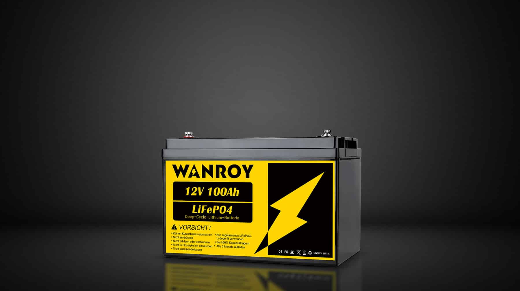 WANROY BETTERIE 100AH