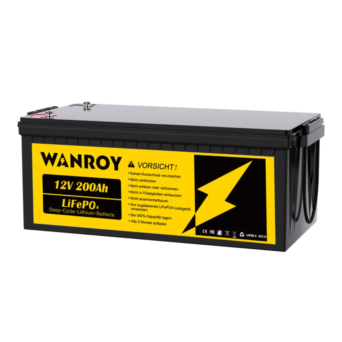 WANROY 12V 200Ah Lithium LiFePO4 Akku mit 100A BMS